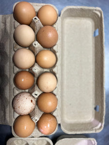 Pasture Raised Eggs *on farm pick up only*